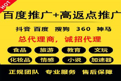 SEM推广技巧：成功案例深度剖析